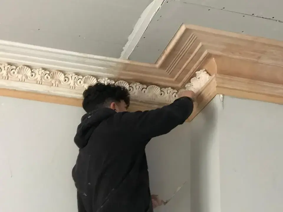 Project Cornice