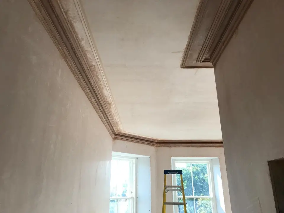Project Plastering